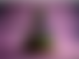 Wishing You a Holistic and Merry Christmas from the CPH