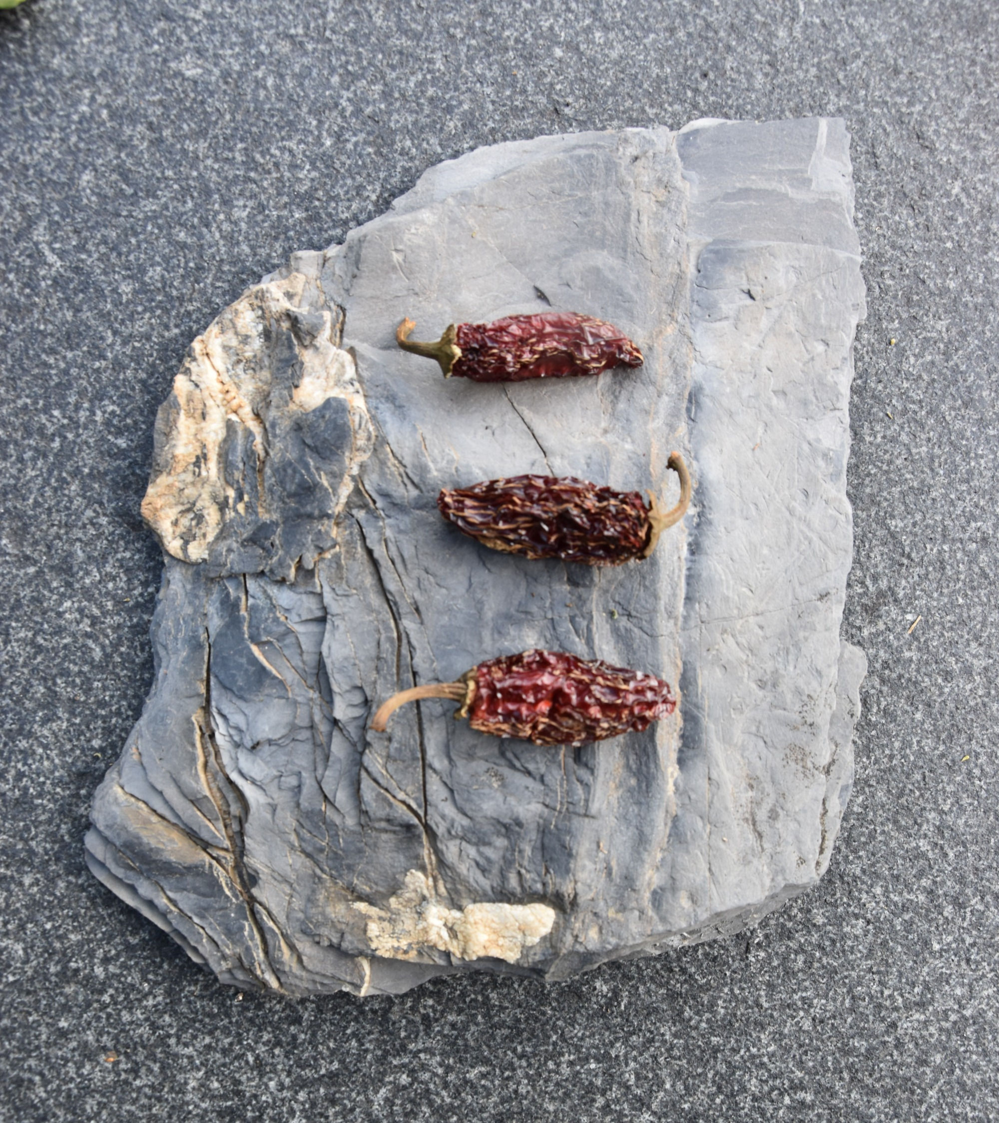 Dried Chipotle (100g)