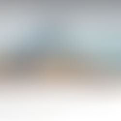 2020 YoungArts Winner