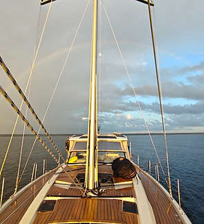 ss_yacht.png