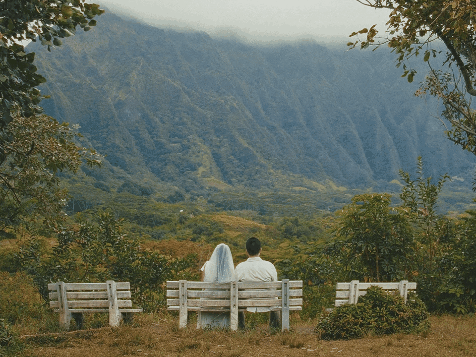 GIF 8.gif