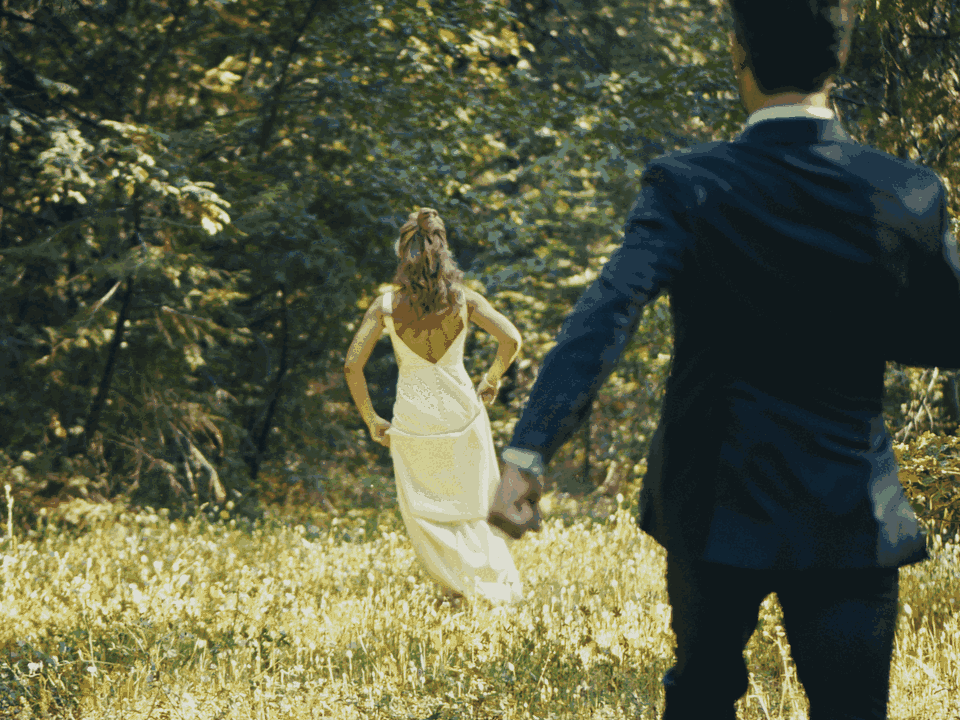 GIF1v6.gif