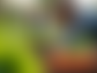 Empowering Youth Through Sustainable Livelihood Initiatives