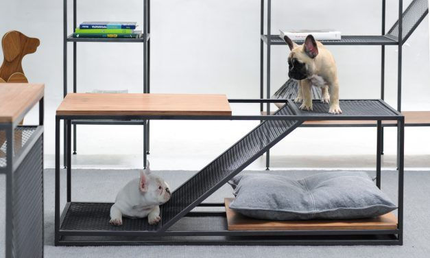 Soluçõe  para o seu pet no estilo industrial.