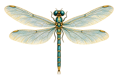 ChatGPT Image Aug 31, 2026, 10_43_00 AM.png