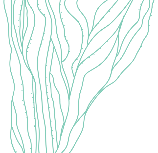 Hélice-Forma-2.png