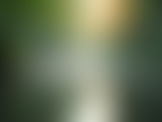 Finding Peace in Christ: Embracing the Prince of Peace Through Parables and Practical Examples