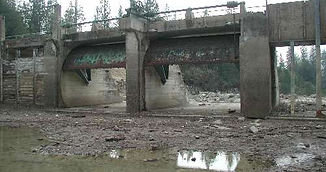 2024-01-15-bass-lake-gate-basslakeca_edi