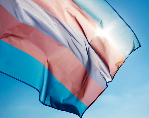 הקשת הטרנסית