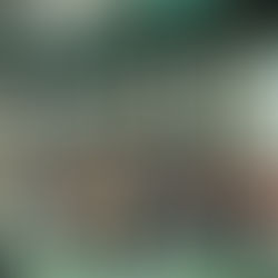 Outdoor drum circle Dubai  Drum circles in Dubai  Experiential activities in Dubai  Wellness drum circle Dubai  Community drum circle experience  Unique outdoor group activities Dubai