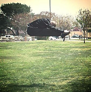 flying twin kick kung fu kick in los angeles
