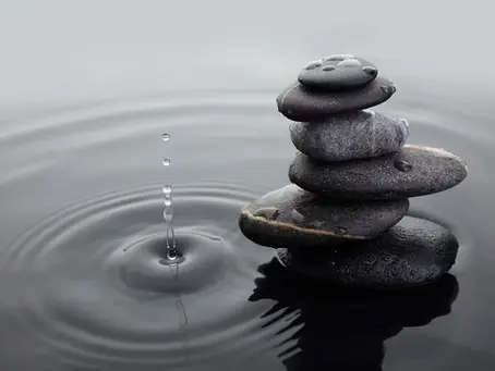 Manifesting Mental Wellness: A Journey to Inner Peace