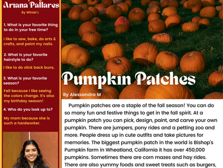 November 2025 - Issue #22