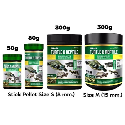 Thumbnail: Sakura Turtle & Reptile