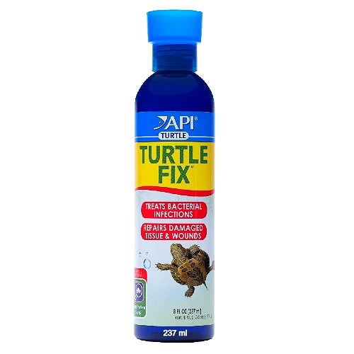 Thumbnail: API Turtle Fix