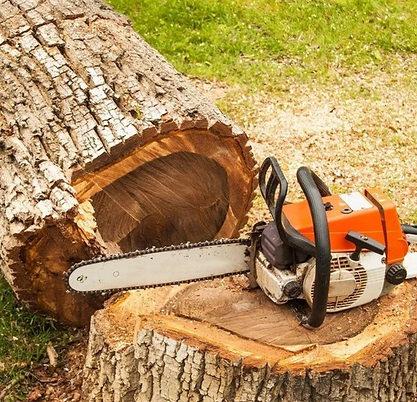 Chainsaw tree stump.png