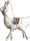 Llama from New Mexico