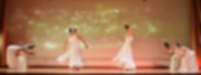 _DSC1209.jpeg