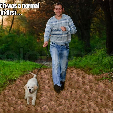 My alternative reality project!