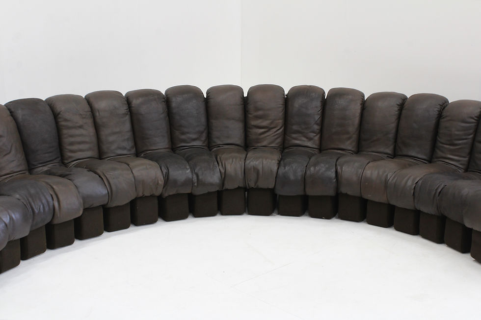 Thumbnail: Vintage DS-600 Non stop Snake sofa by De Sede in original brown leather, 1970s