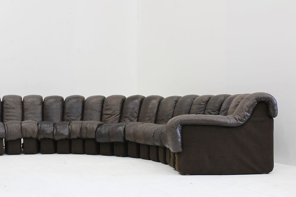 Thumbnail: Vintage DS-600 Non stop Snake sofa by De Sede in original brown leather, 1970s