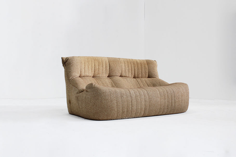 Vintage Aralia sofa Ligne Roset Michel Ducaroy