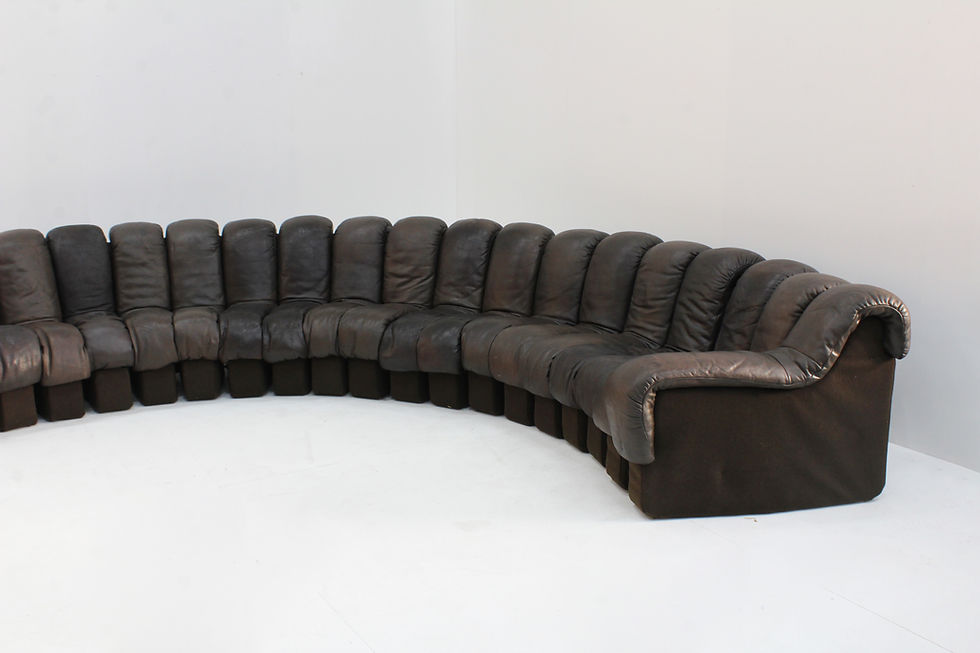 Thumbnail: Vintage DS-600 Non stop Snake sofa by De Sede in original brown leather, 1970s
