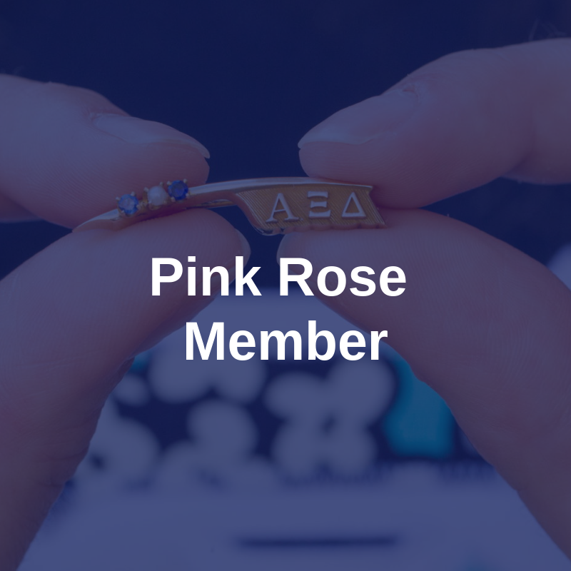 Pink Rose Member