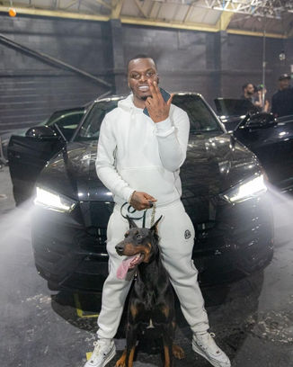 sneakbo holding a dog