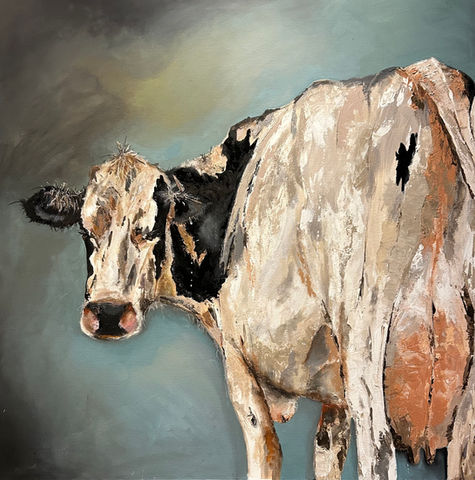 "over her shoulder: A cow's Gaze"