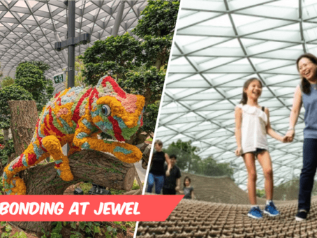 Enjoy Special Deals At Jewel Changi Airport Attractions This School Holiday