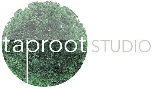 Taproot Studio logo