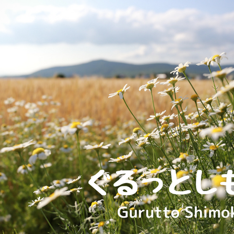 【ぐるっとしもかわ~今だけの限定キャンペーン~】