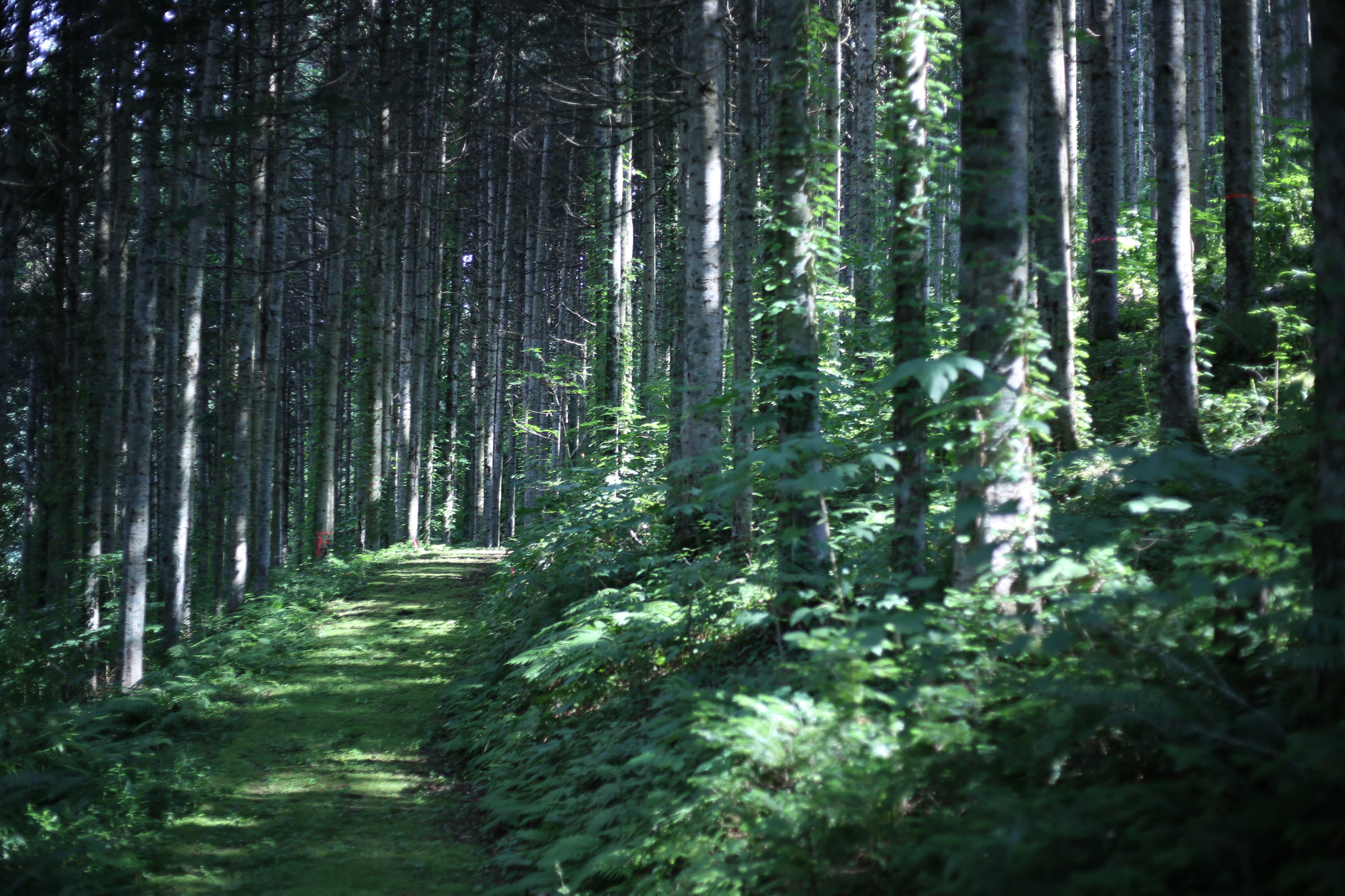 ぐるっとしもかわの外観