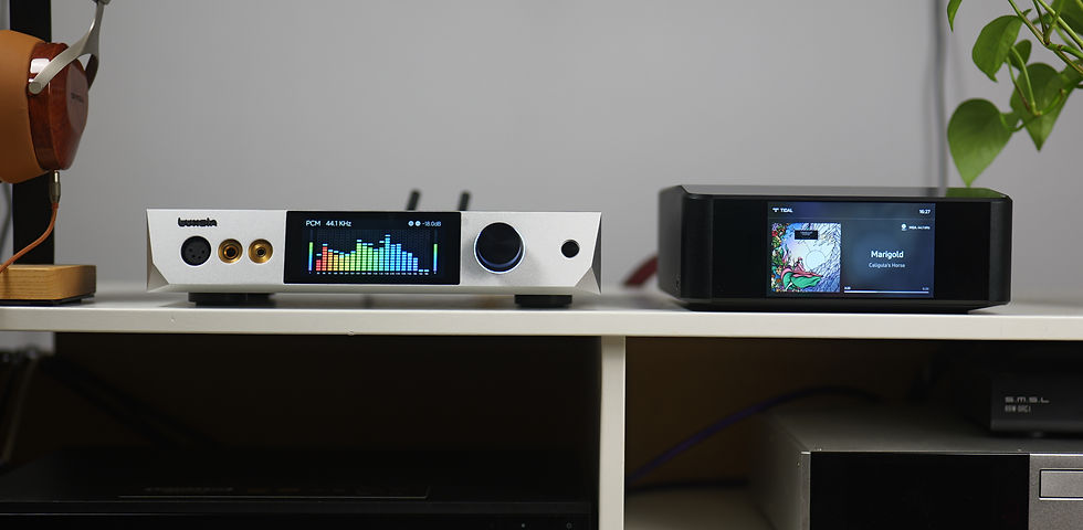Audio equipment on a shelf with headphones and two devices displaying colorful sound waves and album art. Green plant in background.