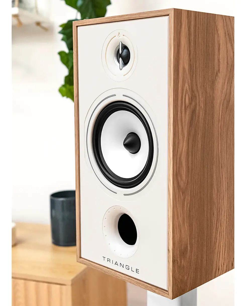 Modern wood and white speaker labeled "Triangle" in a room with a plant and black mug on a wooden desk in the background.