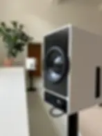White speakers on black stands in a modern room with light walls. A large potted plant is visible in the background, creating a calm atmosphere.