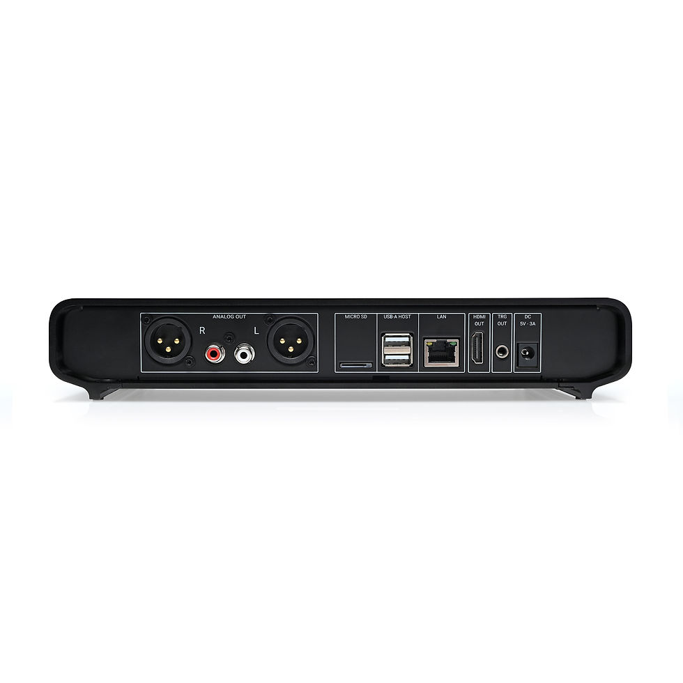Rear panel of a black media player with labeled ports: analog out, micro SD, USB, LAN, HDMI out, TRG out, and DC 5V input.