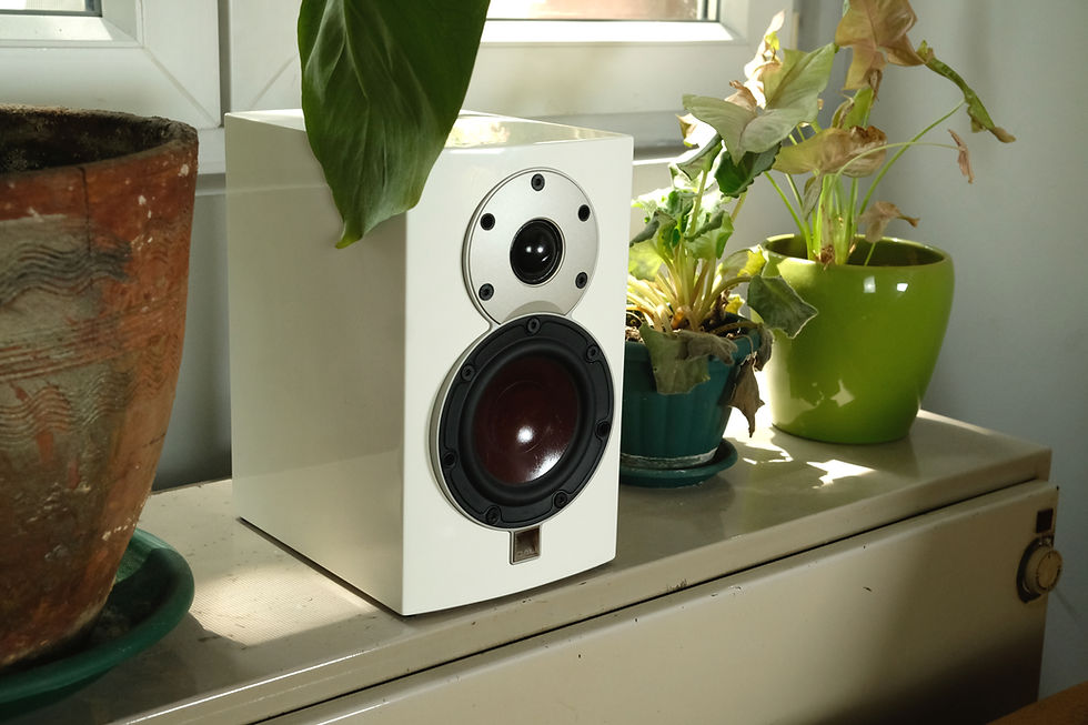 White speaker on a windowsill with potted plants in brown and green pots. Sunlight creates soft shadows on the surface. Calm setting.