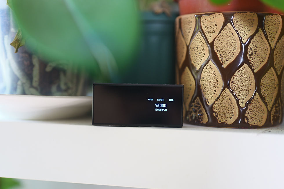 A small black device displays "96000 USB PCM" on a white shelf, near a brown patterned plant pot and blurred greenery in the background.