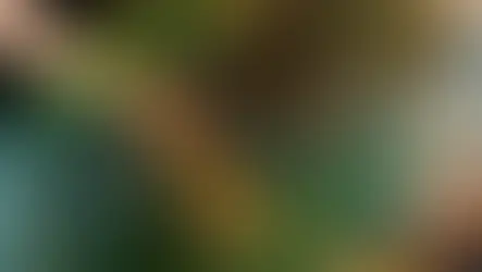 This British Brand’s Retro Hi-Fi System Is the Perfect Throwback for CD Lovers