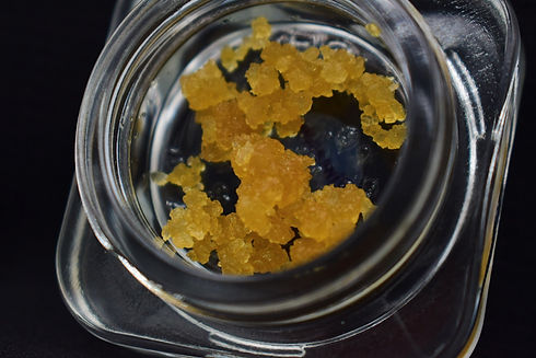 Northern Specialty Health Concentrates a