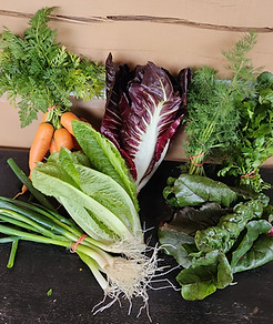 Flourishing Herbs_small share photo.jpg