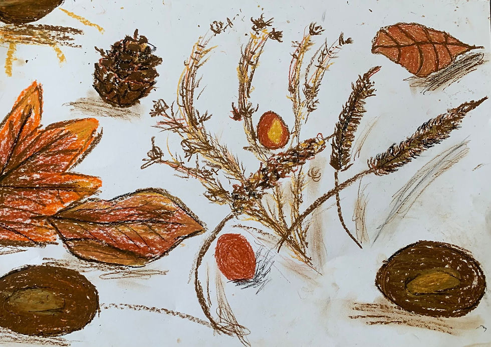 Exploring collaborative drawing & primary research