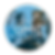 cd1376_da6177b953a641bb83b5df029f2e388d_mv2_edited.png