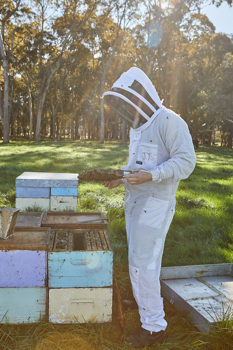 Making sure that the bees are all healthy and happy is an important part of the job