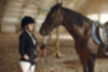 Langebec wood shavings is a leader in animal bedding production and delivery. Langebec delivers quality wood shavings throughout the United States and Canada. Since the company owns its own transportation company, Transport G. Pouliot Inc., they ensure its reliability.