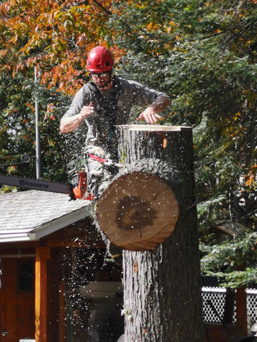 Abattage Arbtec is a tree service company specializing in pruning (pruning) and tree felling, tree planting, stump removal, fruit pruning, guying. We serve the regions of Salaberry-de-Valleyfield, the West Island, Châteauguay, Vaudreuil, Dorion, Ormstown, Saint-Zotique, Saint-Anicet, Rigaud, Kirkland, Pointe-Claire, Mercier, Dorval, Dollard-des-Ormeaux, Hudson , Coteau-du-Lac, Les Coteaux, Saint-Lazare, Pierrefonds, Pincourt, Rivière-Beaudette, Les Cèdres, St-Clet, Beaconsfield, Beauharnois, Huntingdon, Melocheville, Saint-Timothée, Sainte-Barbe, Saint-Stanislas, Sainte -Martine, Senneville, Saint-Polycarpe, Pointe-des-Cascades, Léry. Valleyfield tree felling. West Island tree felling. Tree felling Vaudreuil. Chateauguay tree felling. Pointe-Claire tree felling. Tree felling Dorval. Tree felling Saint-Lazare. Valleyfield tree pruning. West Island tree pruning. Vaudreuil tree pruning. Pruning of trees.