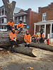 Arboriculteurs professionnels d’Arbeau-Fleuri devant un grand arbre abattu lors de travaux d’abattage d’arbre résidentiel.
