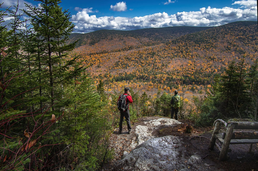 Parc Massif du sud